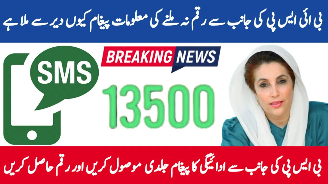 BISP 8171 Payment SMS Delay November 2025